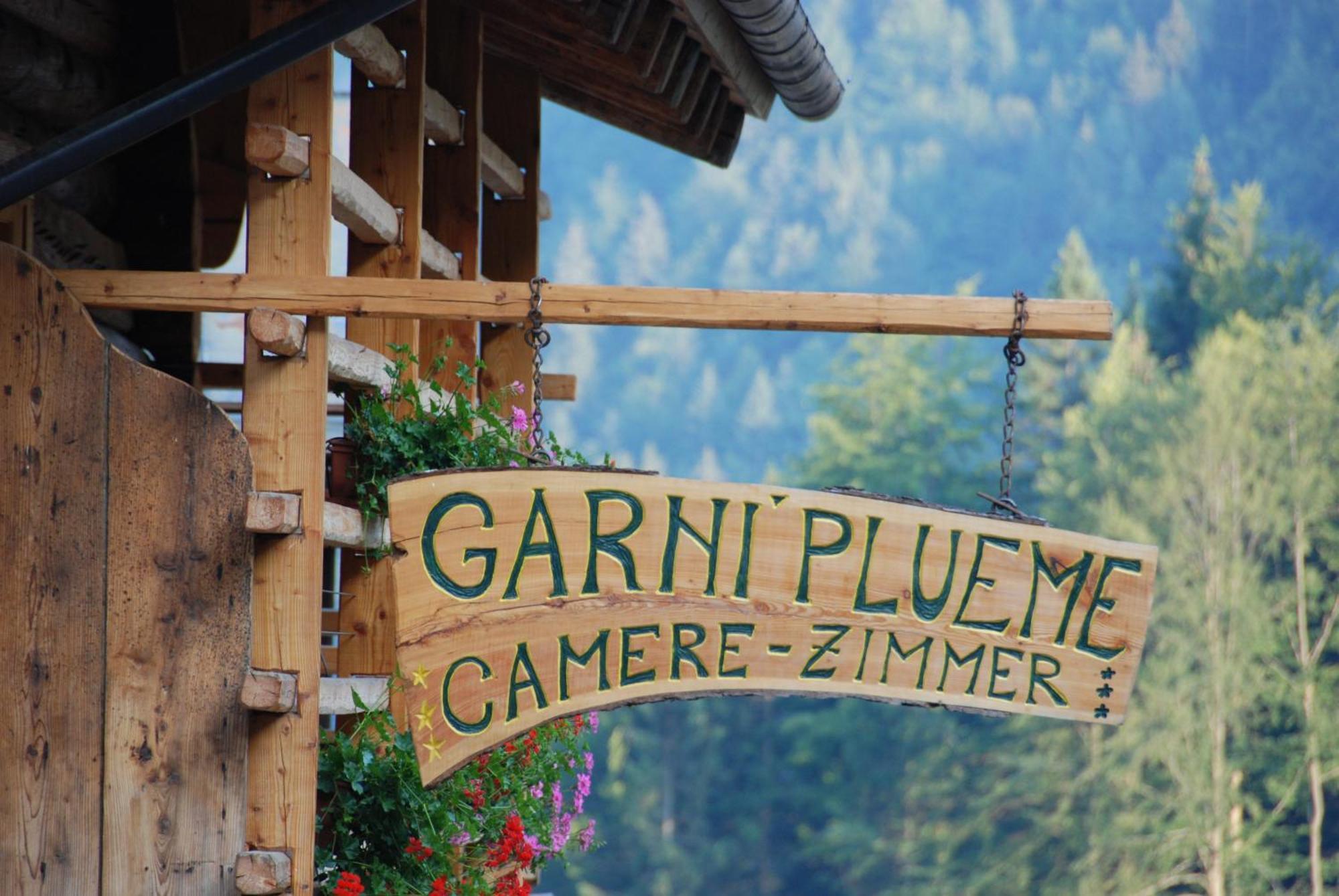 Hotel Garni Plueme Sauris Buitenkant foto